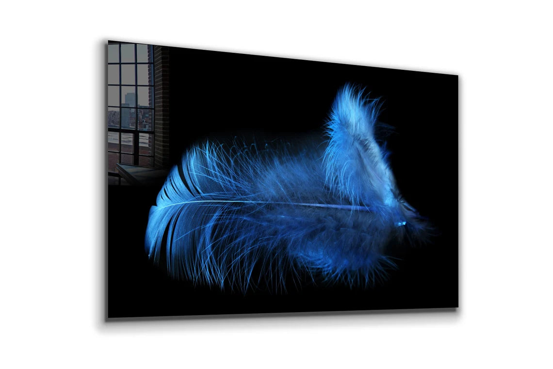 Blue Feather on Dark UV Direct Aluminum Print Australian Made Quality