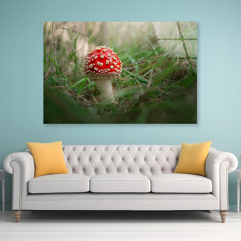 Amanita Muscaria. Close-Up Of Fly Agaric. Close-Up Of Toadstool on Grass Acrylic Glass Print Tempered Glass Wall Art 100% Made in Australia Ready to Hang - Bella Home Decor
