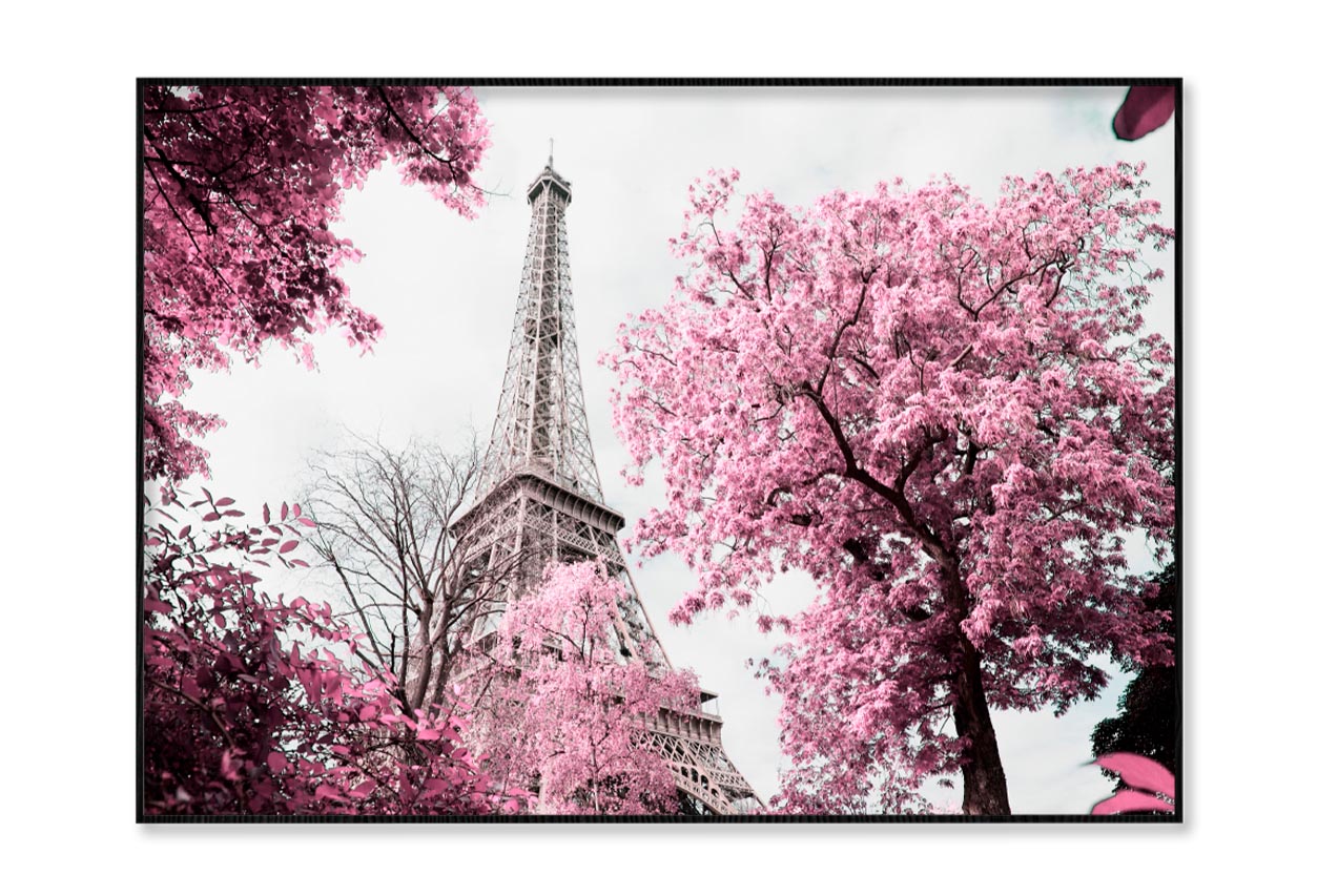 Pink Tree In Front of The Eiffel Tower Home Decor Premium Quality Poster Print Choose Your Sizes