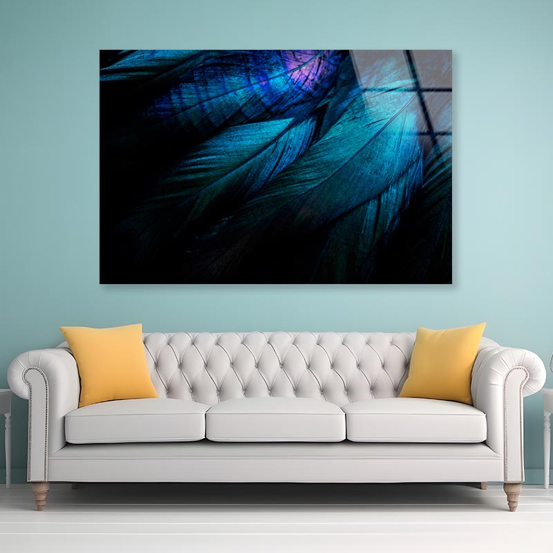 Stylish Dark Feather  Acrylic Glass Print Tempered Glass Wall Art 100% Made in Australia Ready to Hang