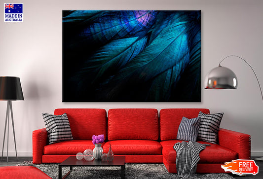 Stylish Dark Feather Closeup View Wall Art Decor 100% Australian Made