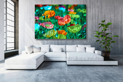 Colorful Poppy Field UV Direct Aluminum Print Australian Made Quality