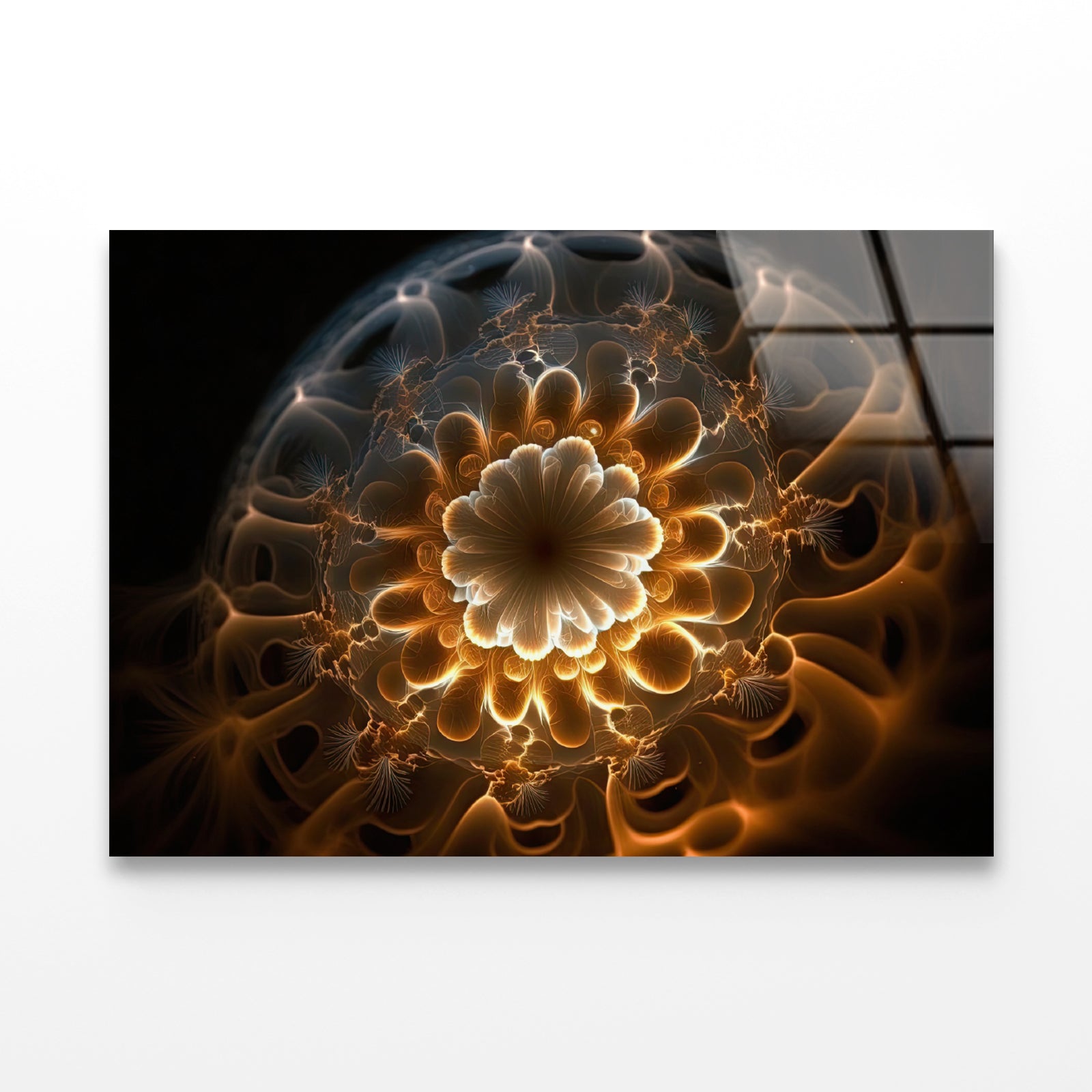 Close-Up of a Sea Creature Acrylic Glass Print Tempered Glass Wall Art 100% Made in Australia Ready to Hang - Bella Home Decor