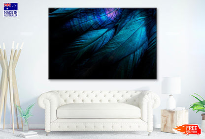 Stylish Dark Feather Closeup View Wall Art Decor 100% Australian Made