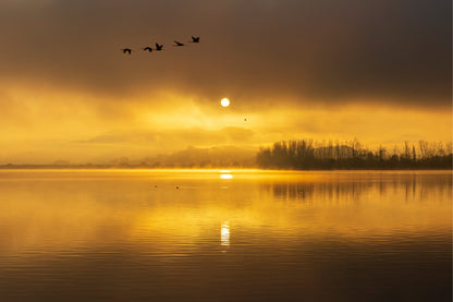 Golden Morning Sunrise At The Junam Reservoir South Korea Wall Art Decor 100% Australian Made