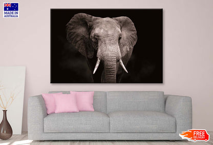 Elephant With Tusks Walking in Dark Wall Art Decor 100% Australian Made - Bella Home Decor