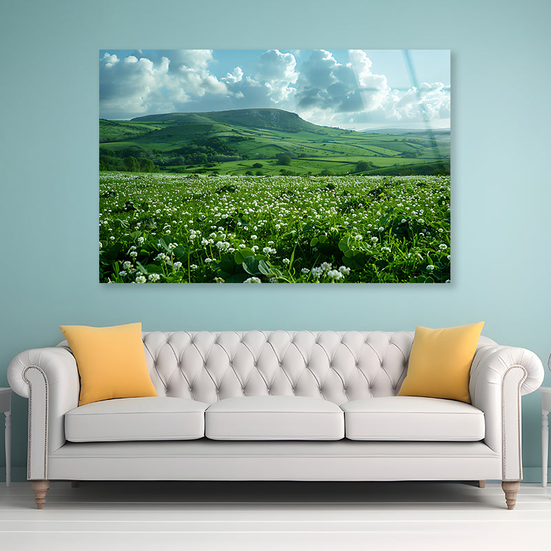 Field with Blue Sky View Acrylic Glass Print Tempered Glass Wall Art 100% Made in Australia Ready to Hang - Bella Home Decor