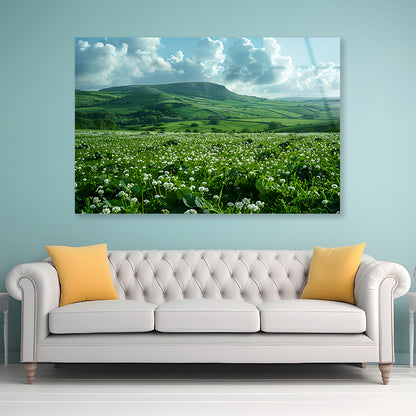 Field with Blue Sky View Acrylic Glass Print Tempered Glass Wall Art 100% Made in Australia Ready to Hang - Bella Home Decor