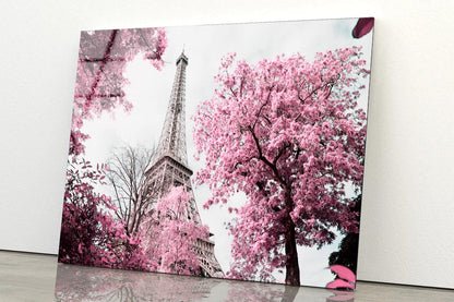 Pink Tree In Front of The Eiffel Tower Acrylic Glass Print Tempered Glass Wall Art 100% Made in Australia Ready to Hang