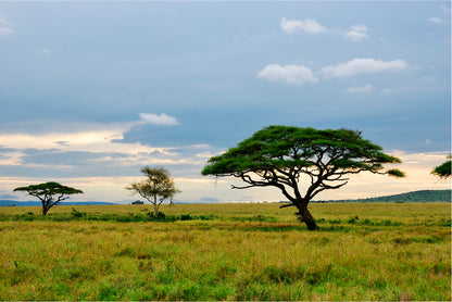 National Park with Mountains Tanzania Africa Home Decor Premium Quality Poster Print Choose Your Sizes