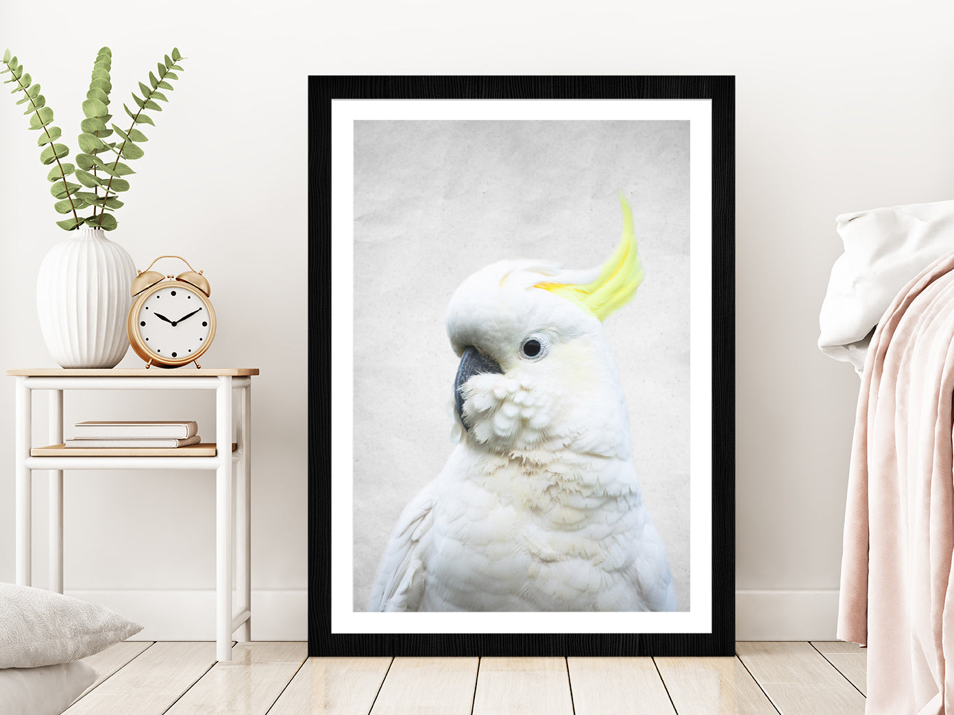 White Macaw Bird Faded Closuep Photograph Glass Framed Wall Art, Ready to Hang Quality Print With White Border Black