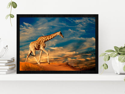 Giraffe Walking On A Sand Dune Glass Framed Wall Art, Ready to Hang Quality Print Without White Border Black