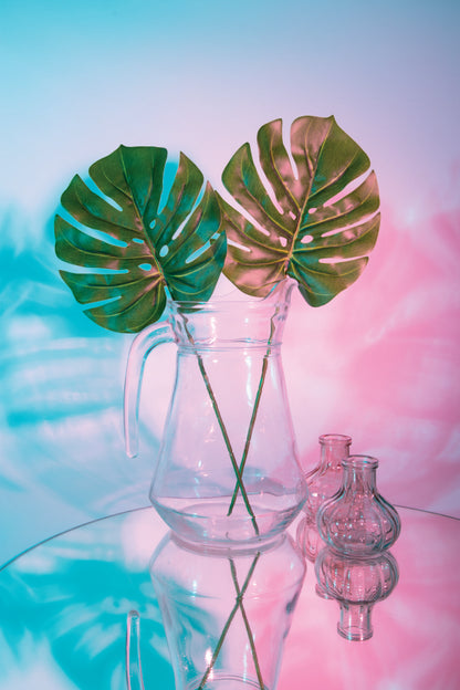 Two Green Leaves in A Clear Vase on A Table Wall Art Decor 100% Australian Made