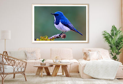 Ultramarine Flycatcher Cute Blue Bird Perching on Top Mossy Home Decor Premium Quality Poster Print Choose Your Sizes - Bella Home Decor