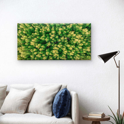 Aerial View of Green Trees Rain Forest Wall Art Canvas Office Home Room Framed 120x60cm