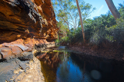 Kings Canyon Northern Territory Garden of Eden Wall Art Decor 100% Australian Made