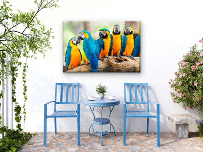 Blue and Yellow Macaw Parrot Wall Art Decor 100% Australian Made