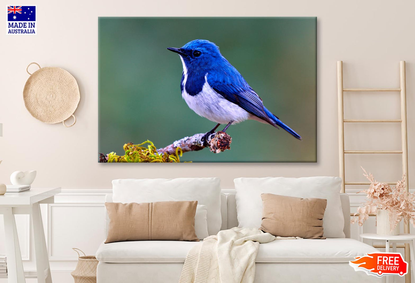 Ultramarine Flycatcher Cute Blue Bird Perching on Top Mossy  Wall Art Decor 100% Australian Made