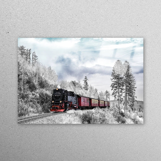 Forest Nature Train Acrylic Glass Print Tempered Glass Wall Art 100% Made in Australia Ready to Hang