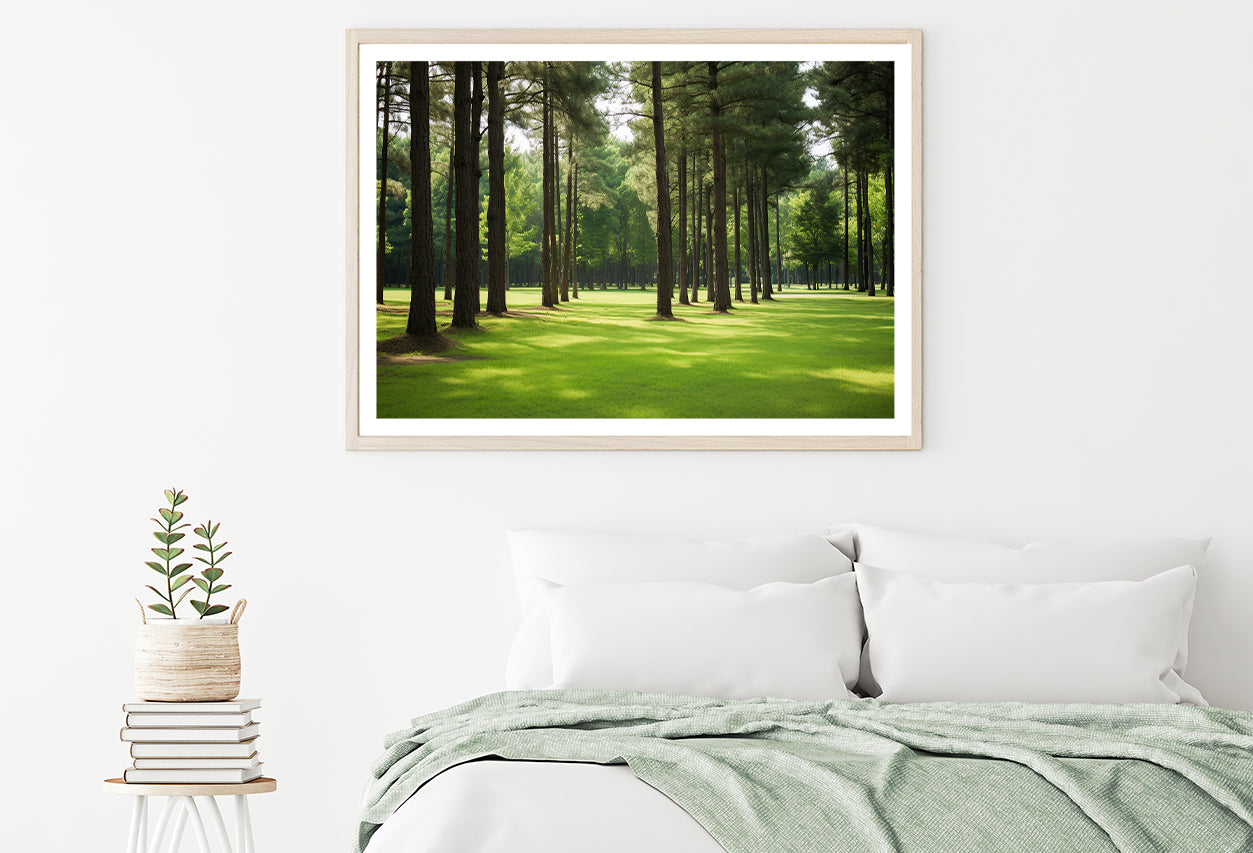 Pine Trees Line the Forest Home Decor Premium Quality Poster Print Choose Your Sizes - Bella Home Decor