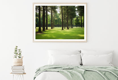 Pine Trees Line the Forest Home Decor Premium Quality Poster Print Choose Your Sizes - Bella Home Decor