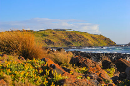 Phillip Island Victoria Hillside and Shoreline Wall Art Decor 100% Australian Made
