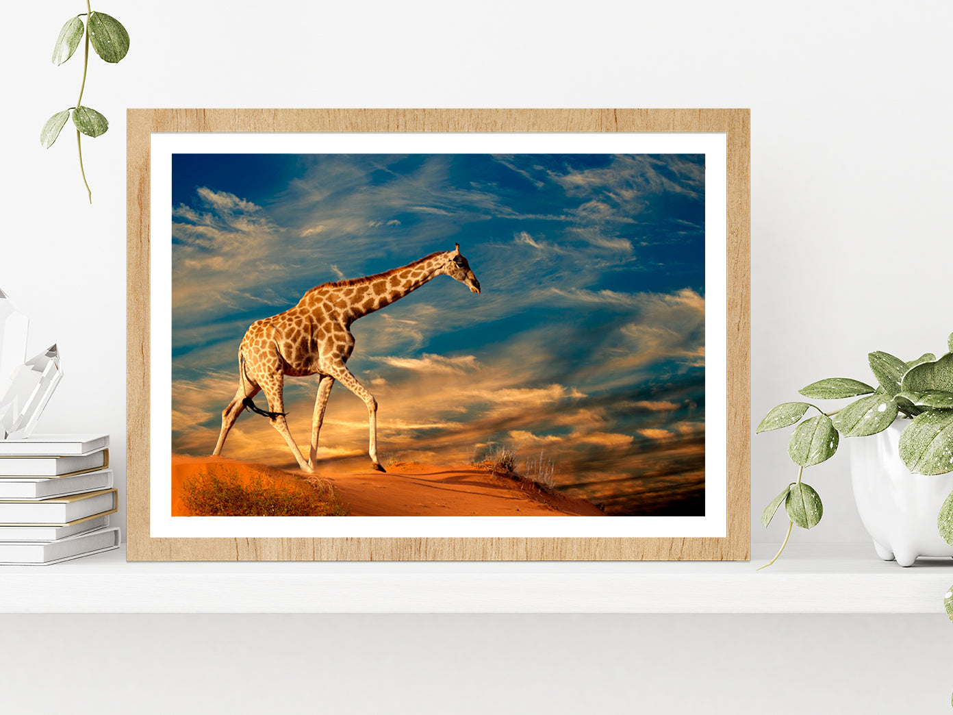 Giraffe Walking On A Sand Dune Glass Framed Wall Art, Ready to Hang Quality Print With White Border Oak