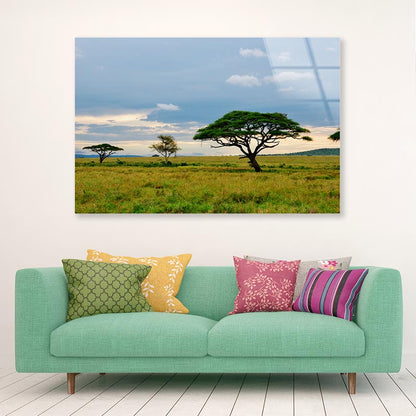 National Park with Mountains Tanzania Africa Acrylic Glass Print Tempered Glass Wall Art 100% Made in Australia Ready to Hang