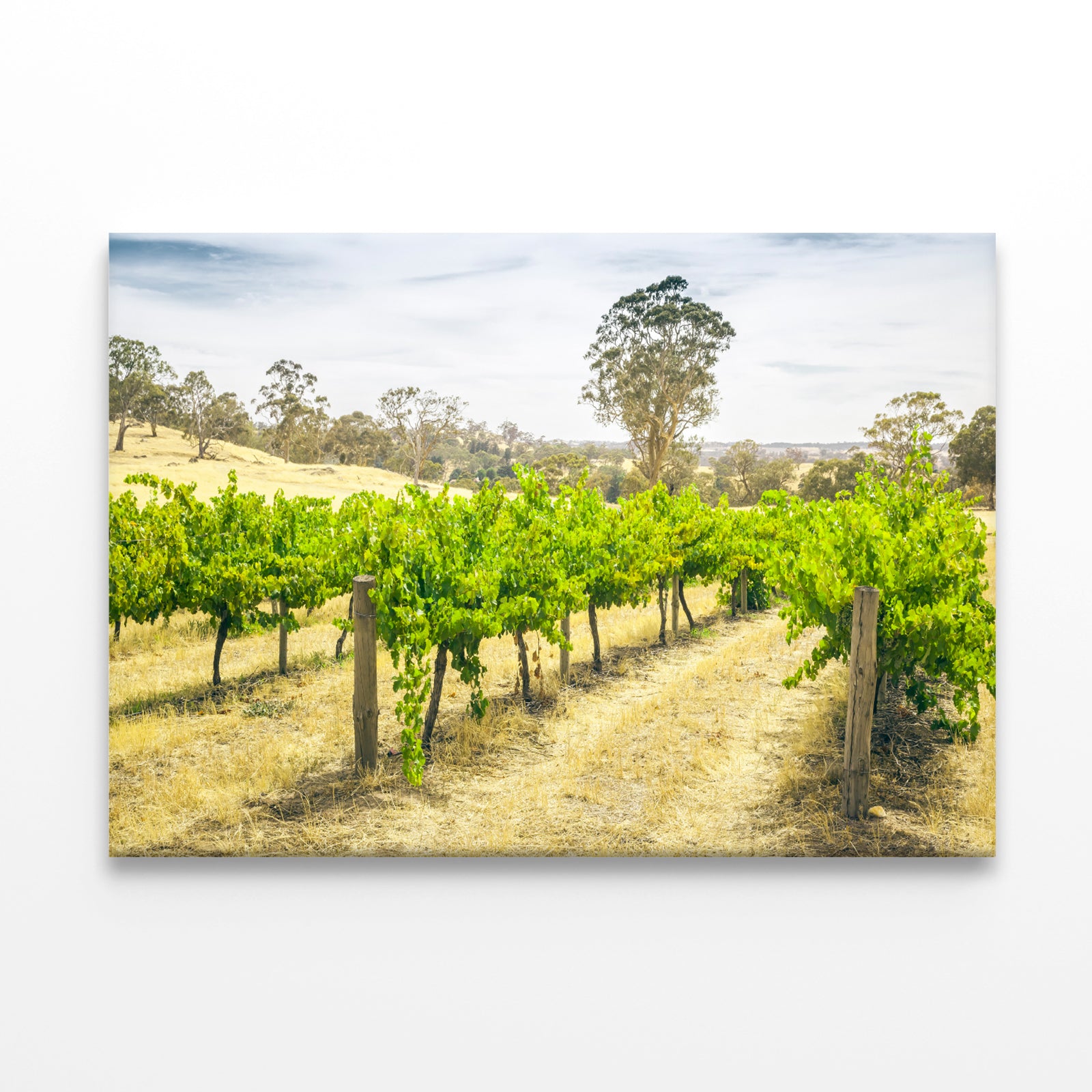 Scenic Barossa Valley Landscape South Australia Wall Art Decor 100% Australian Made - Bella Home Decor