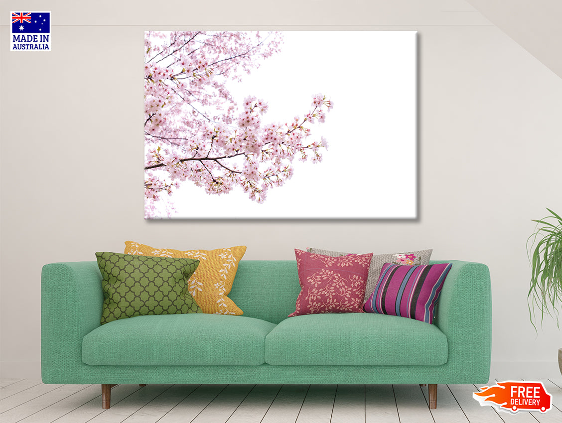 Branch of Pink Cherry Blossom Print 100% Australian Made - Bella Home Decor
