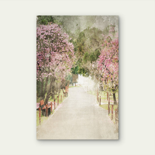 Pink Cherry Blossom Park Path 40x60cm Metal Print Ready to Hang