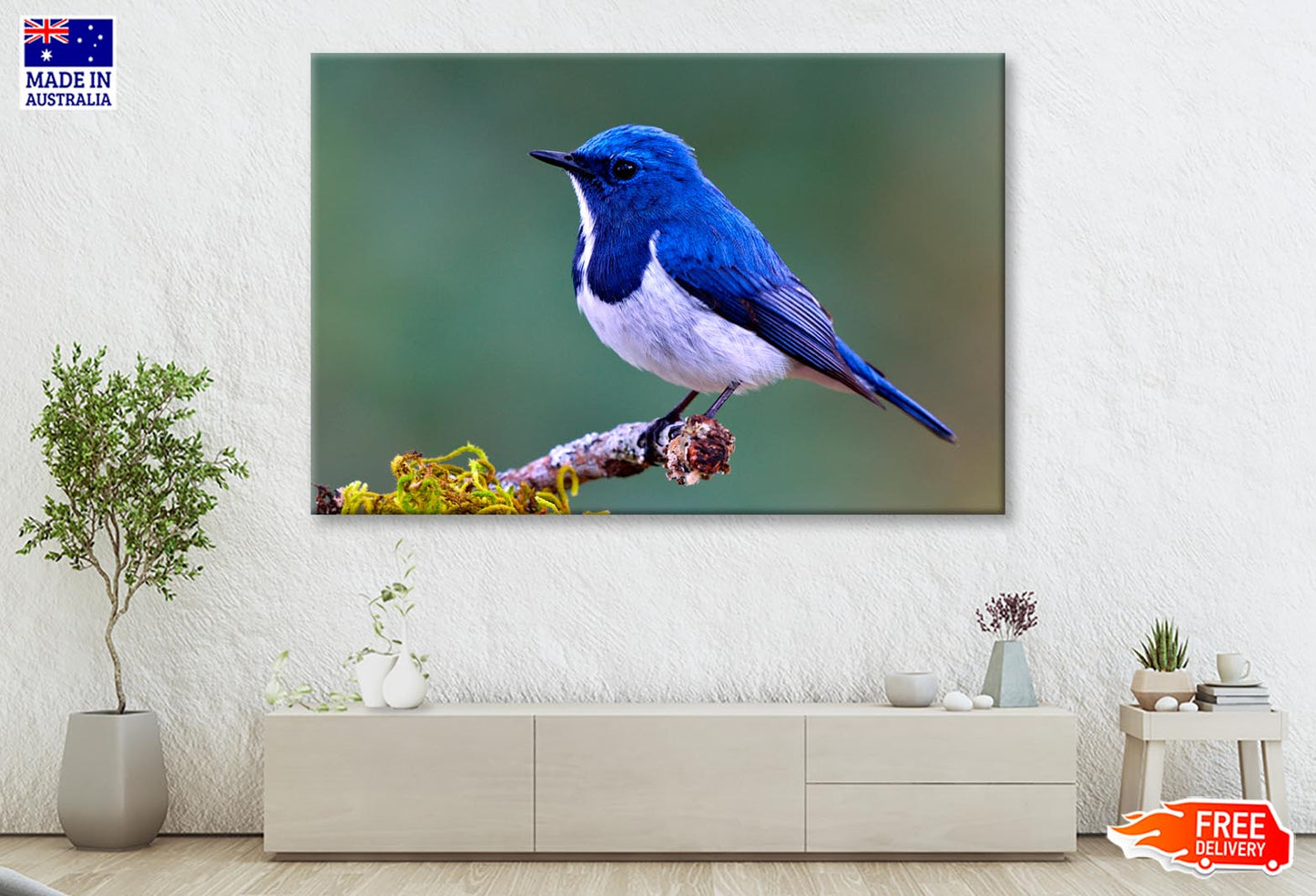 Ultramarine Flycatcher Cute Blue Bird Perching on Top Mossy  Wall Art Decor 100% Australian Made