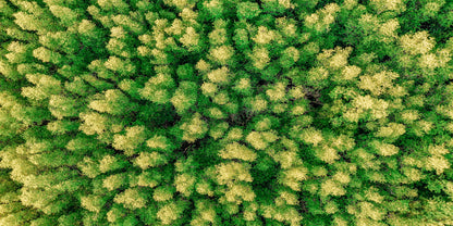 Aerial View of Green Trees Rain Forest Wall Art Canvas Office Home Room Framed 120x60cm