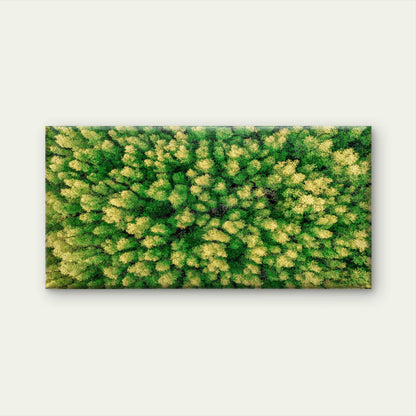 Aerial View of Green Trees Rain Forest Wall Art Canvas Office Home Room Framed 120x60cm