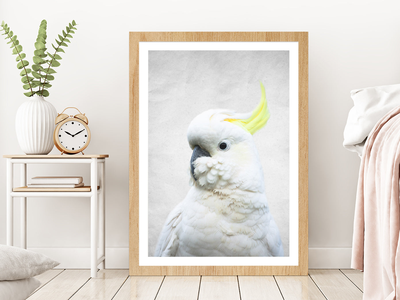 White Macaw Bird Faded Closuep Photograph Glass Framed Wall Art, Ready to Hang Quality Print With White Border Oak