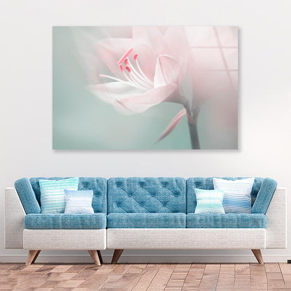 Single Dreamy Surreal White Flower Acrylic Glass Print Tempered Glass Wall Art 100% Made in Australia Ready to Hang - Bella Home Decor
