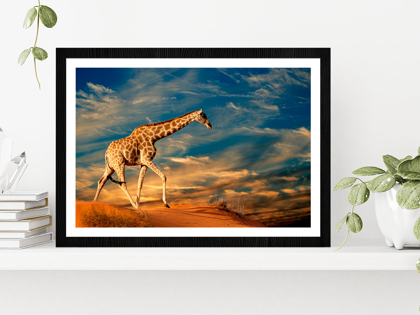 Giraffe Walking On A Sand Dune Glass Framed Wall Art, Ready to Hang Quality Print With White Border Black