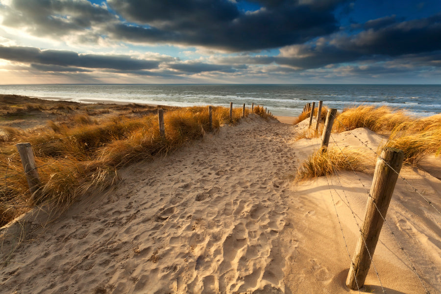 Sand Path to North Sea Beach, Holland Acrylic Glass Print Tempered Glass Wall Art 100% Made in Australia Ready to Hang