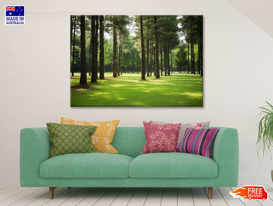 Pine Trees Line the Forest Print 100% Australian Made - Bella Home Decor
