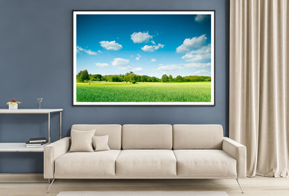 A Large Green Field with Trees under a Blue Sky Home Decor Premium Quality Poster Print Choose Your Sizes