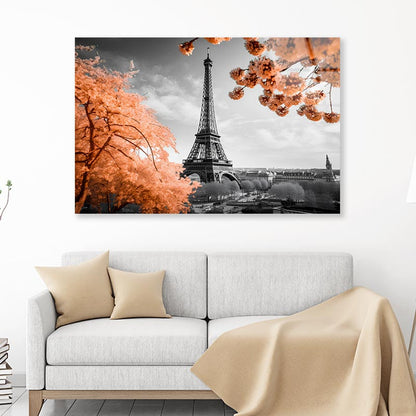 Black Peach Eiffel Tower Acrylic Glass Print Tempered Glass Wall Art 100% Made in Australia Ready to Hang