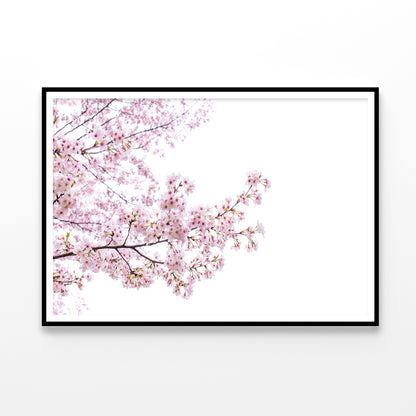 Branch of Pink Cherry Blossom Home Decor Premium Quality Poster Print Choose Your Sizes