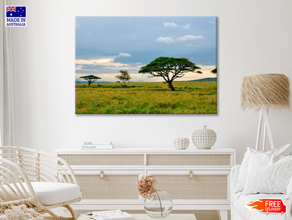 National Park with Mountains Tanzania Africa Print 100% Australian Made