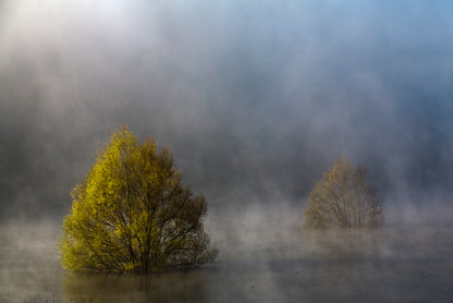 Fog during Autumn Floods with Clouds in the Sky Home Decor Premium Quality Poster Print Choose Your Sizes