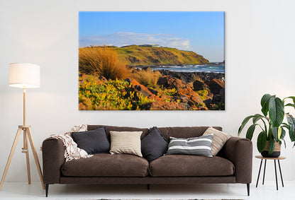 Phillip Island Victoria Hillside and Shoreline Wall Art Decor 100% Australian Made