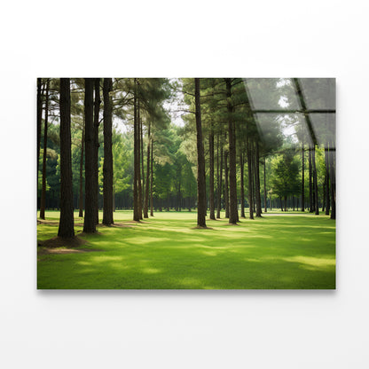 Pine Trees Line the Forest Acrylic Glass Print Tempered Glass Wall Art 100% Made in Australia Ready to Hang - Bella Home Decor