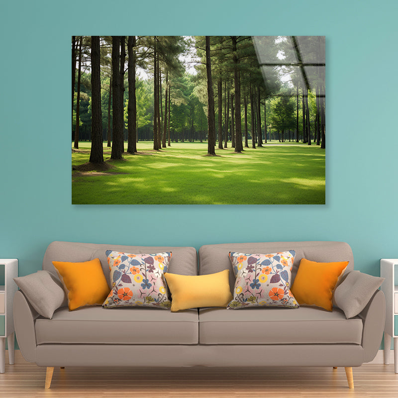 Pine Trees Line the Forest Acrylic Glass Print Tempered Glass Wall Art 100% Made in Australia Ready to Hang - Bella Home Decor