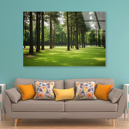 Pine Trees Line the Forest Acrylic Glass Print Tempered Glass Wall Art 100% Made in Australia Ready to Hang - Bella Home Decor