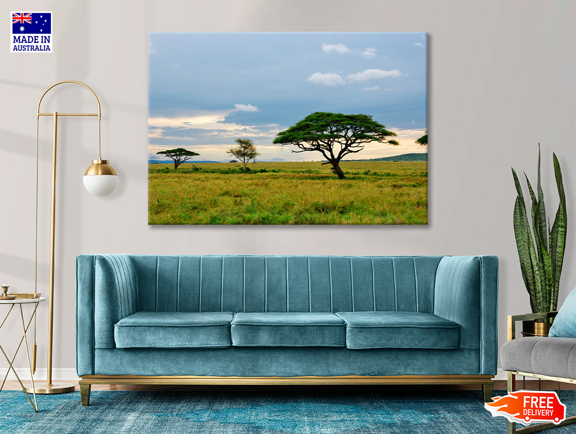 National Park with Mountains Tanzania Africa Print 100% Australian Made