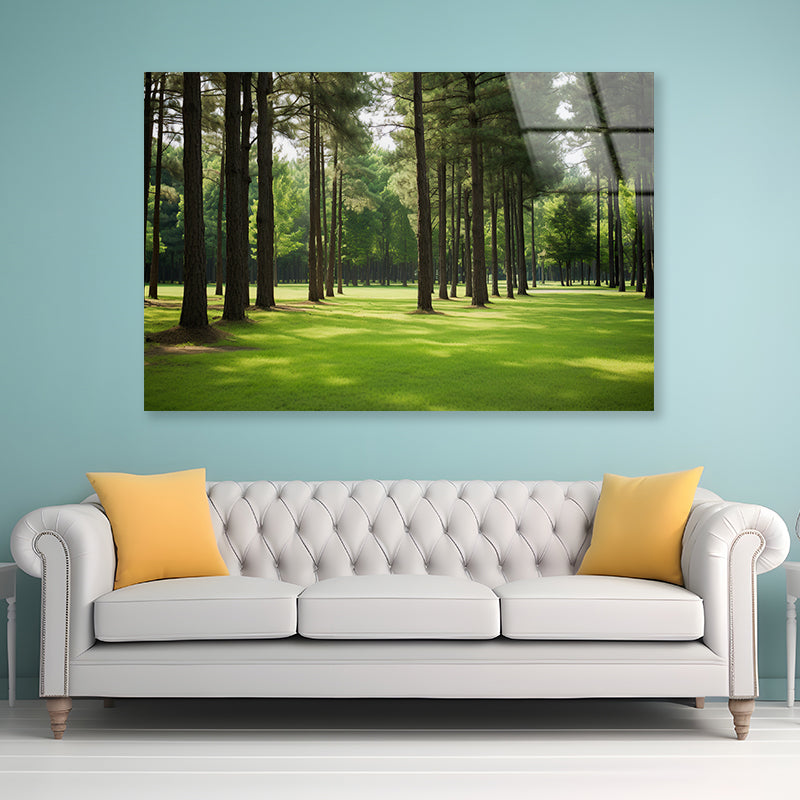 Pine Trees Line the Forest Acrylic Glass Print Tempered Glass Wall Art 100% Made in Australia Ready to Hang - Bella Home Decor